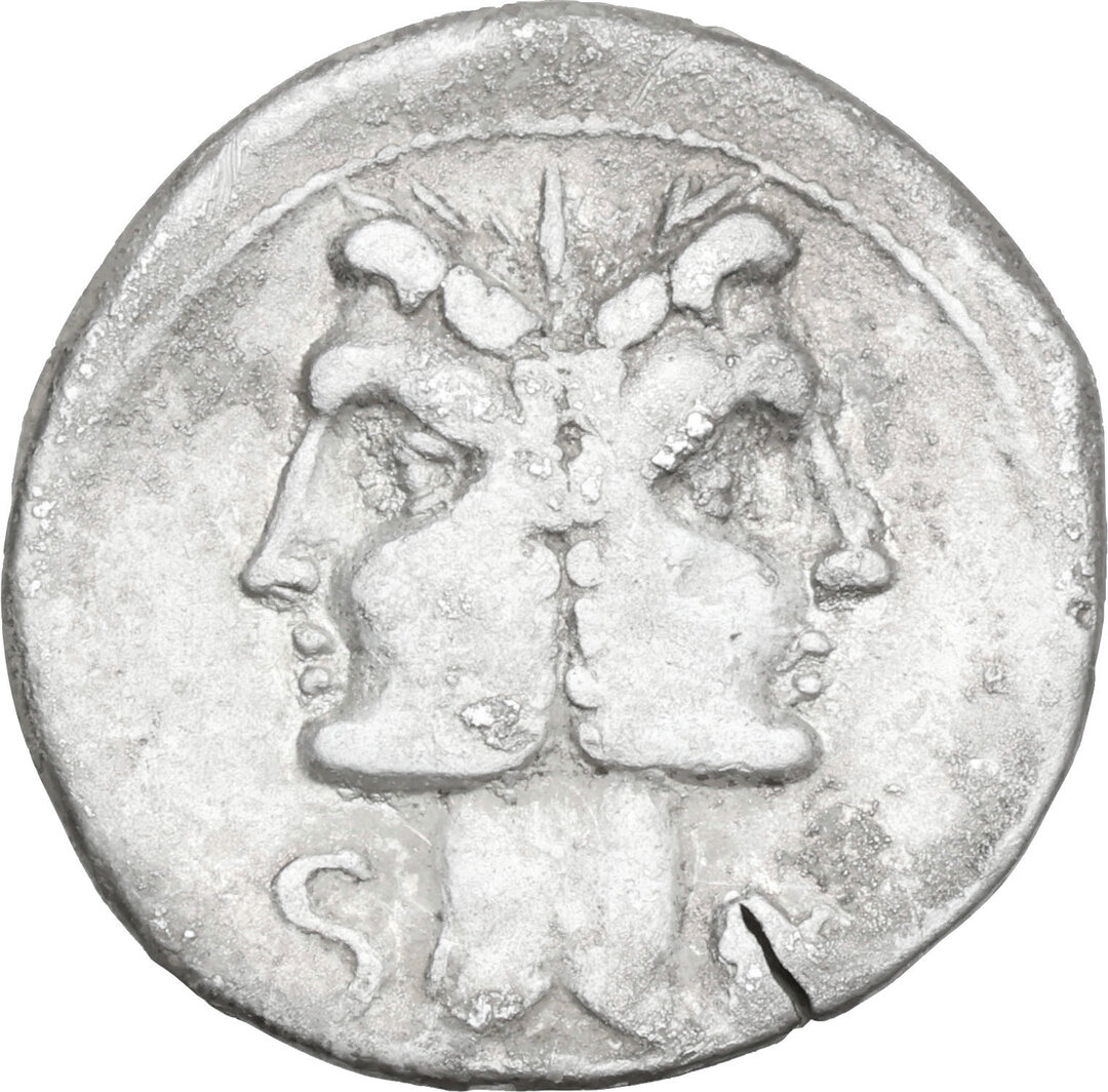 Dritto moneta
