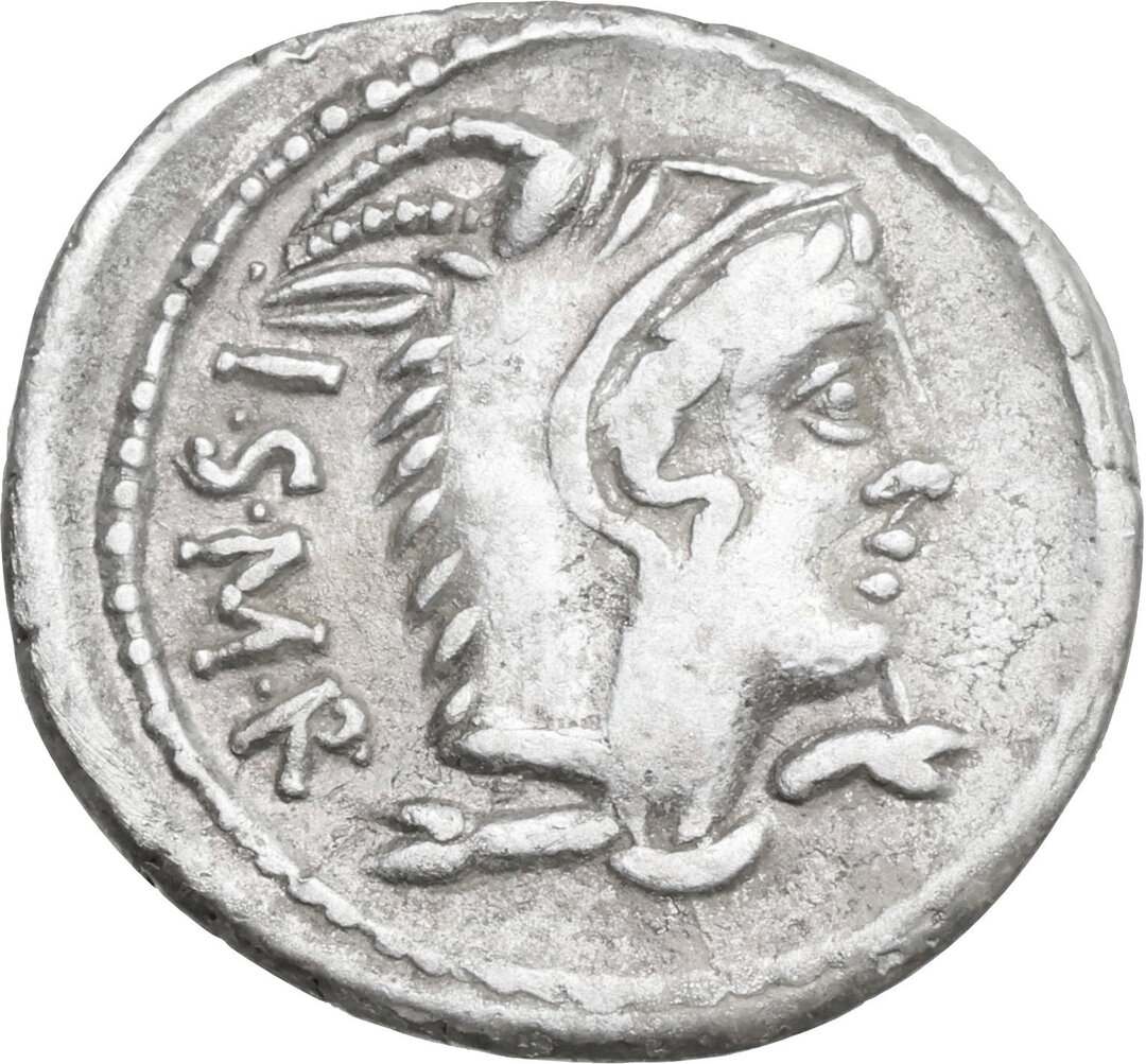 Dritto moneta
