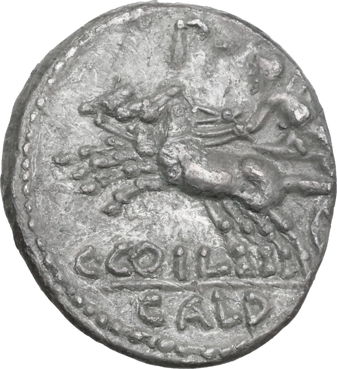 Rovescio moneta