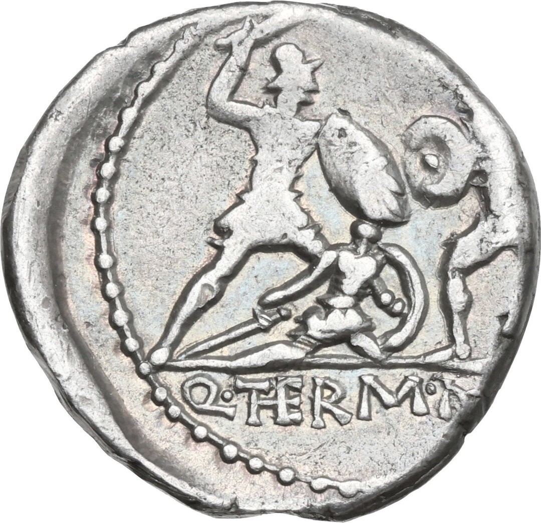 Rovescio moneta
