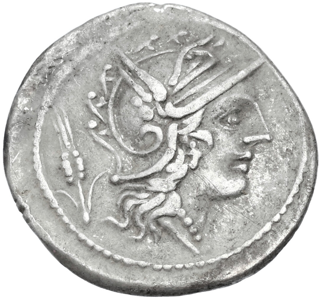 Dritto moneta