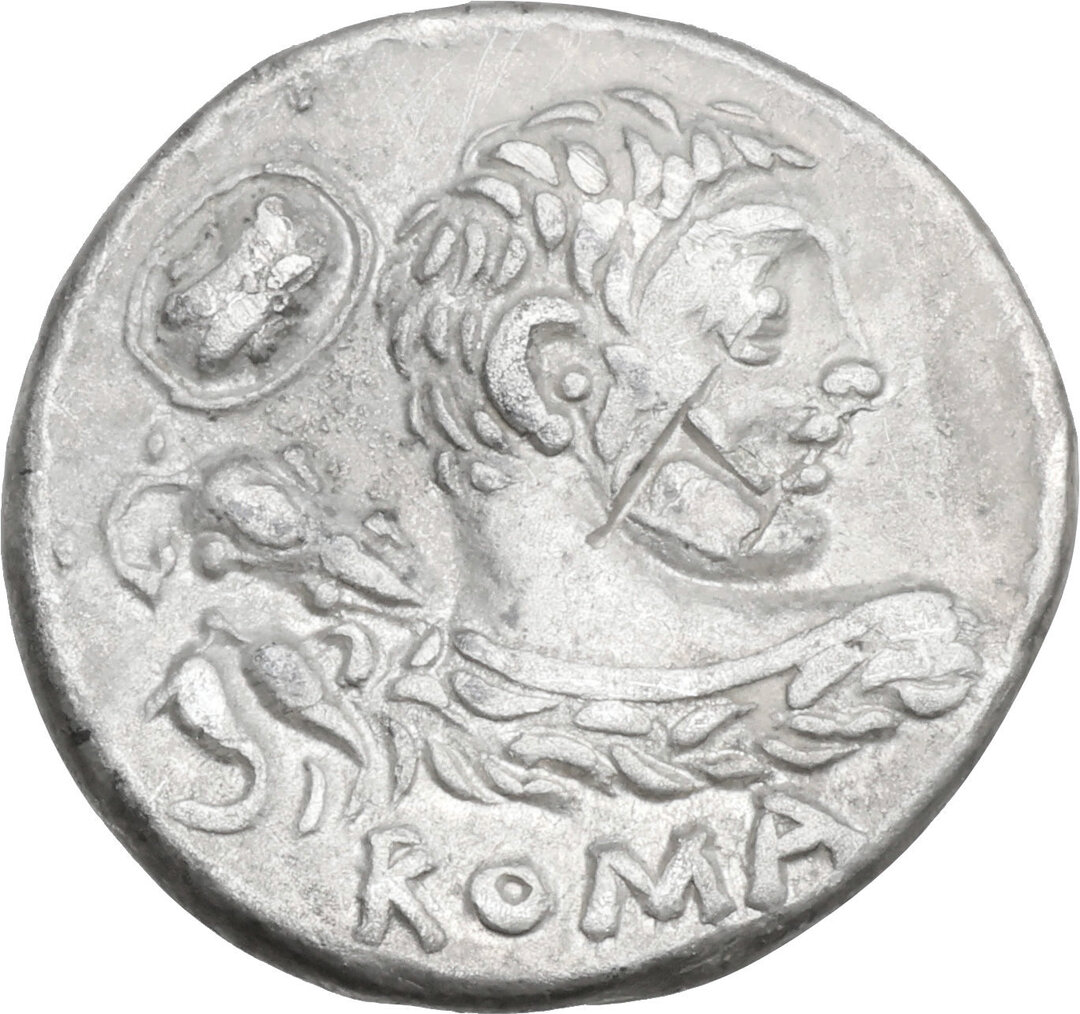 Dritto moneta