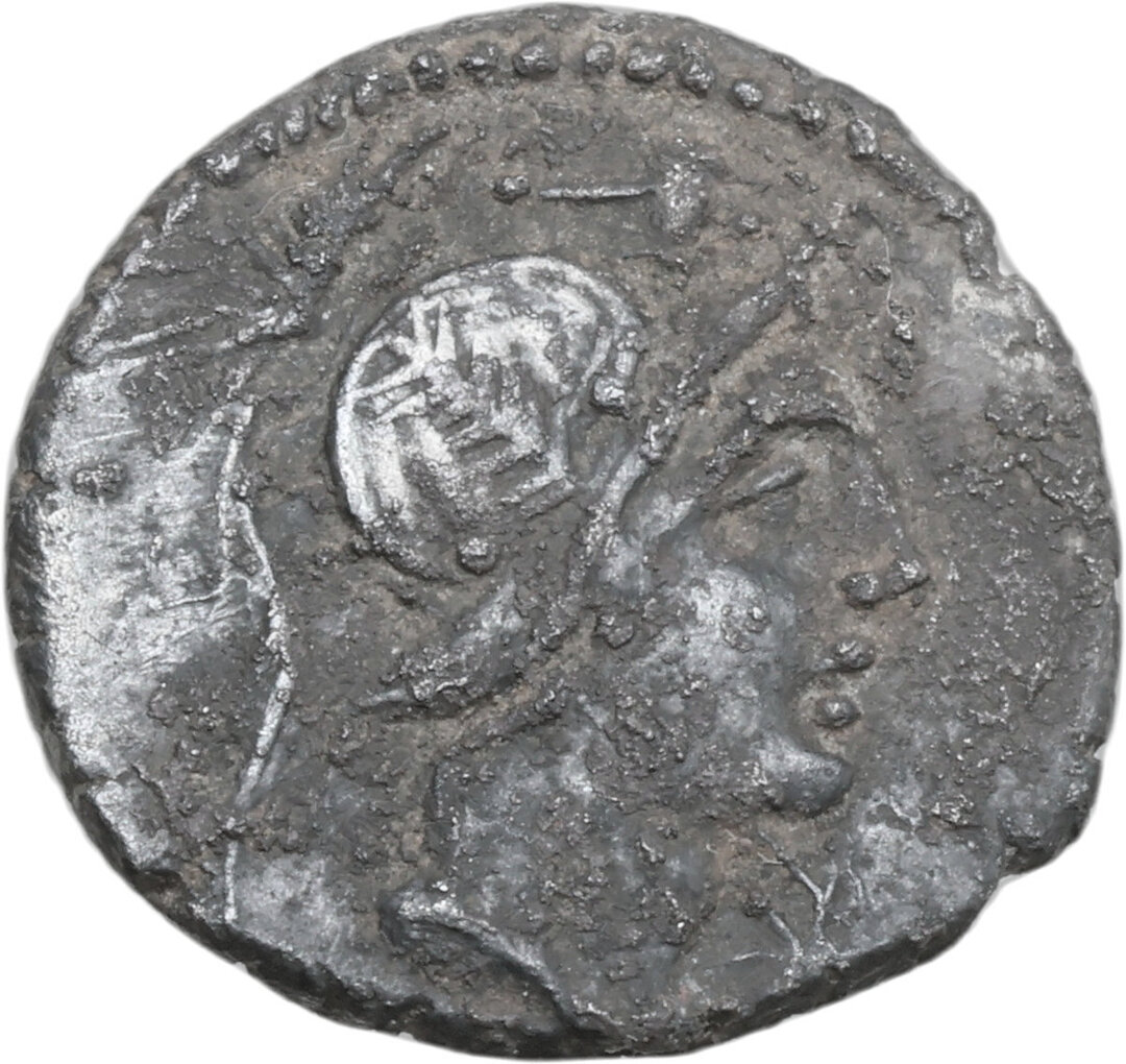 Dritto moneta