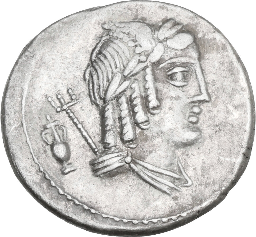Dritto moneta