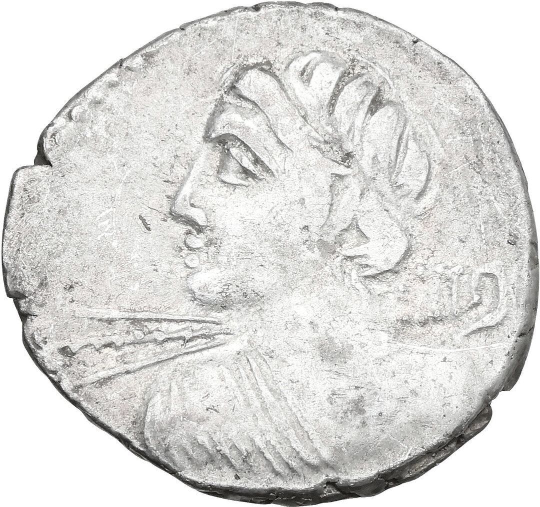 Dritto moneta