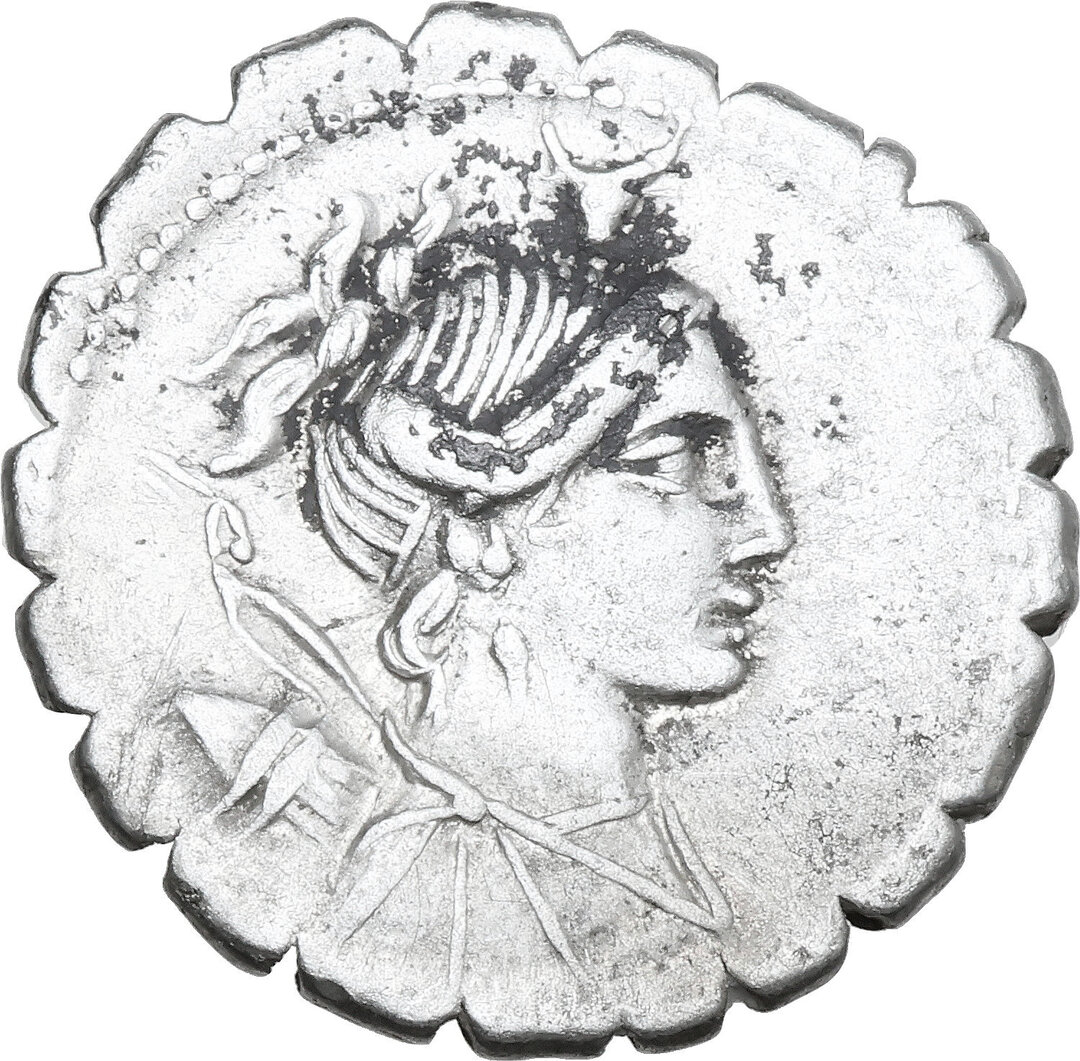 Dritto moneta
