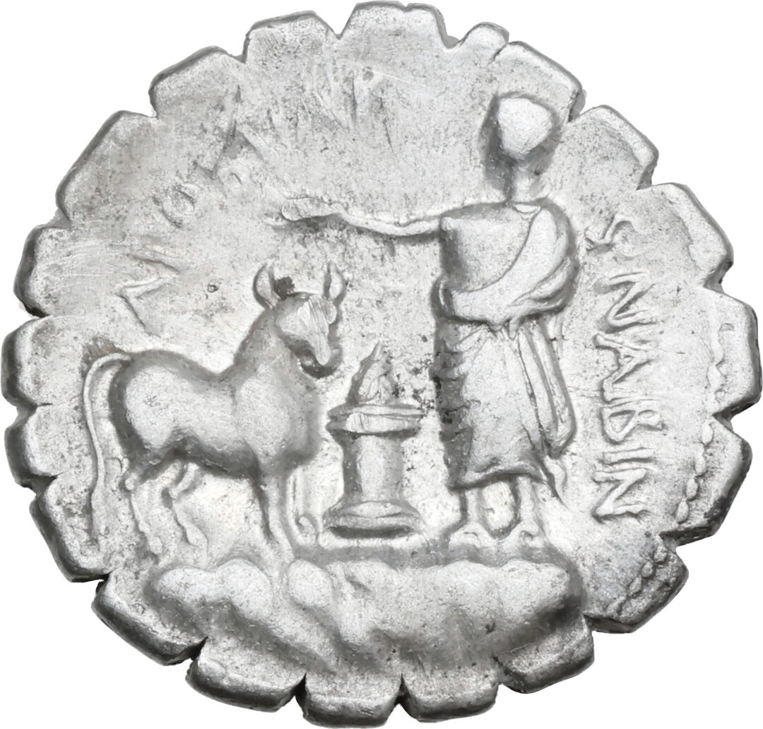 Rovescio moneta