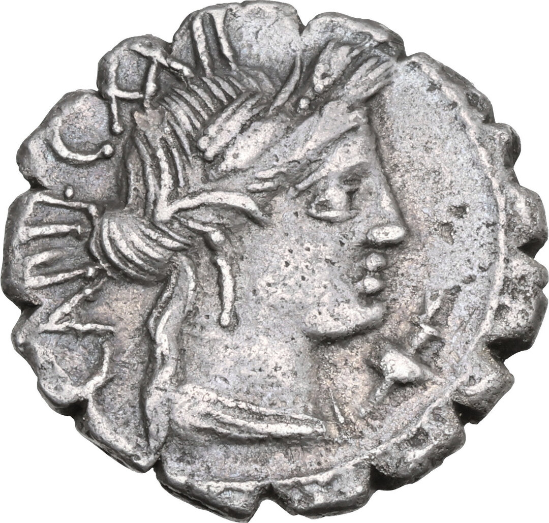 Dritto moneta