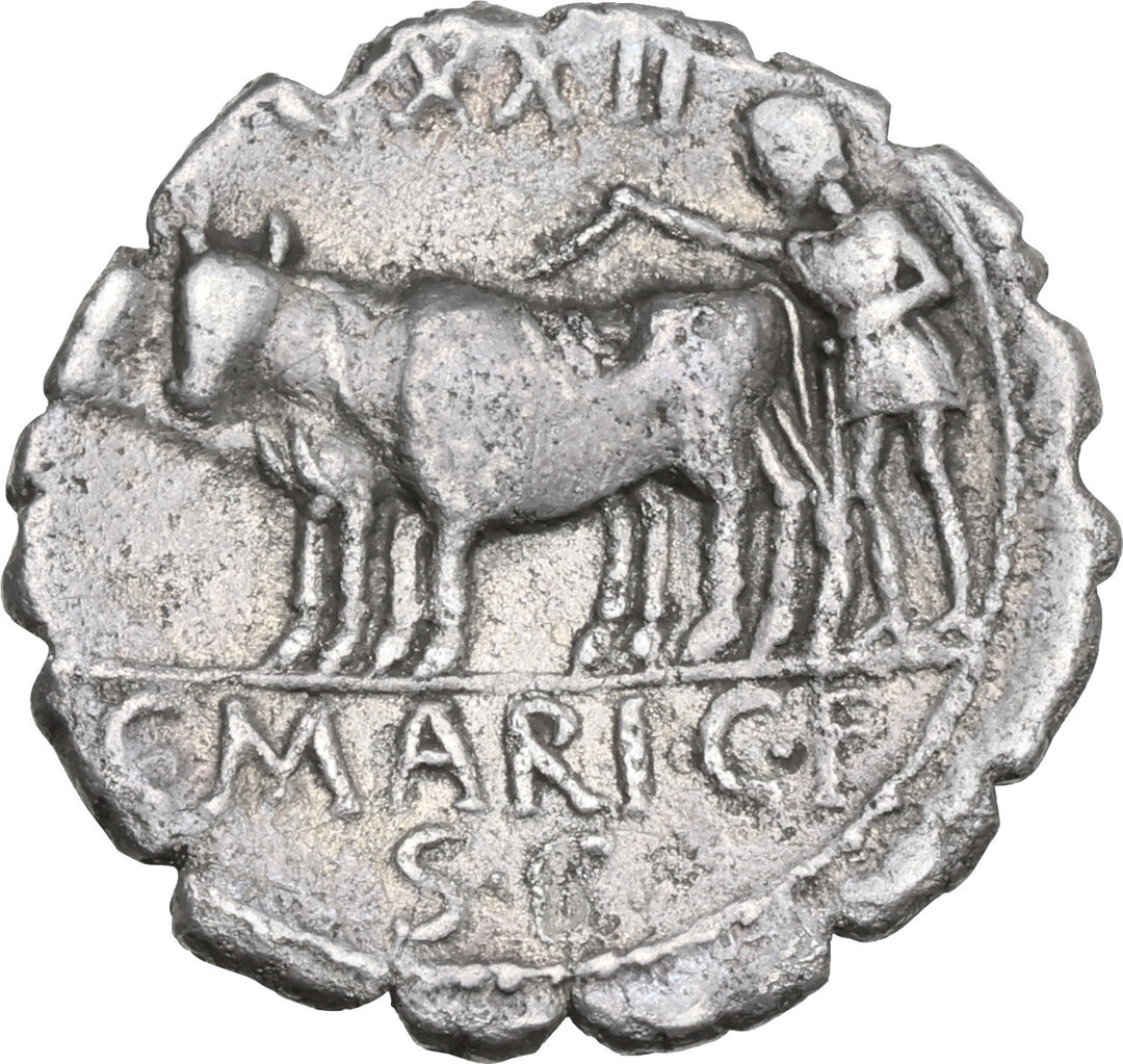 Rovescio moneta