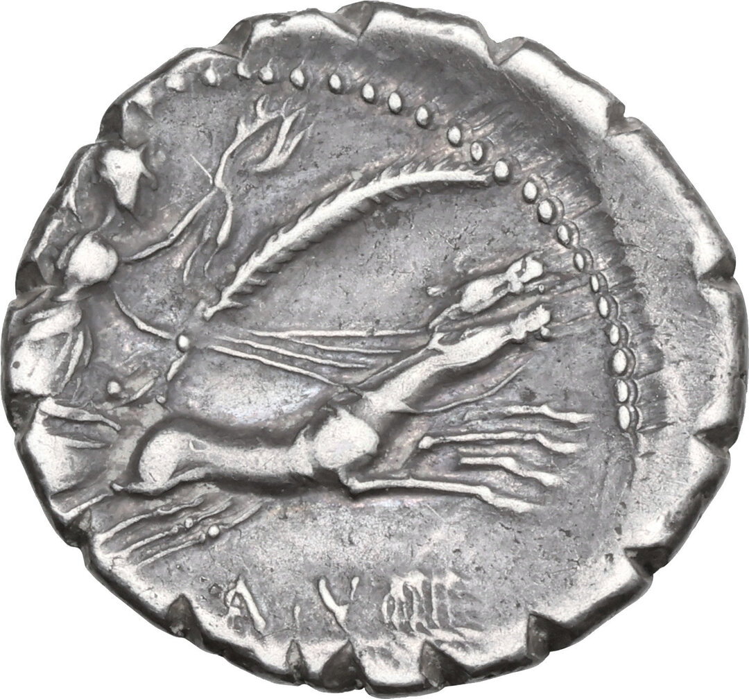 Rovescio moneta