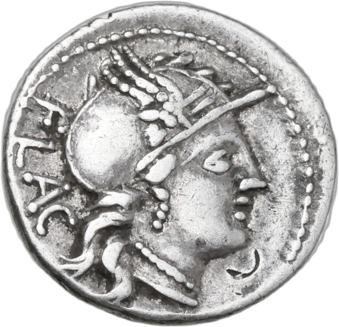 Dritto moneta