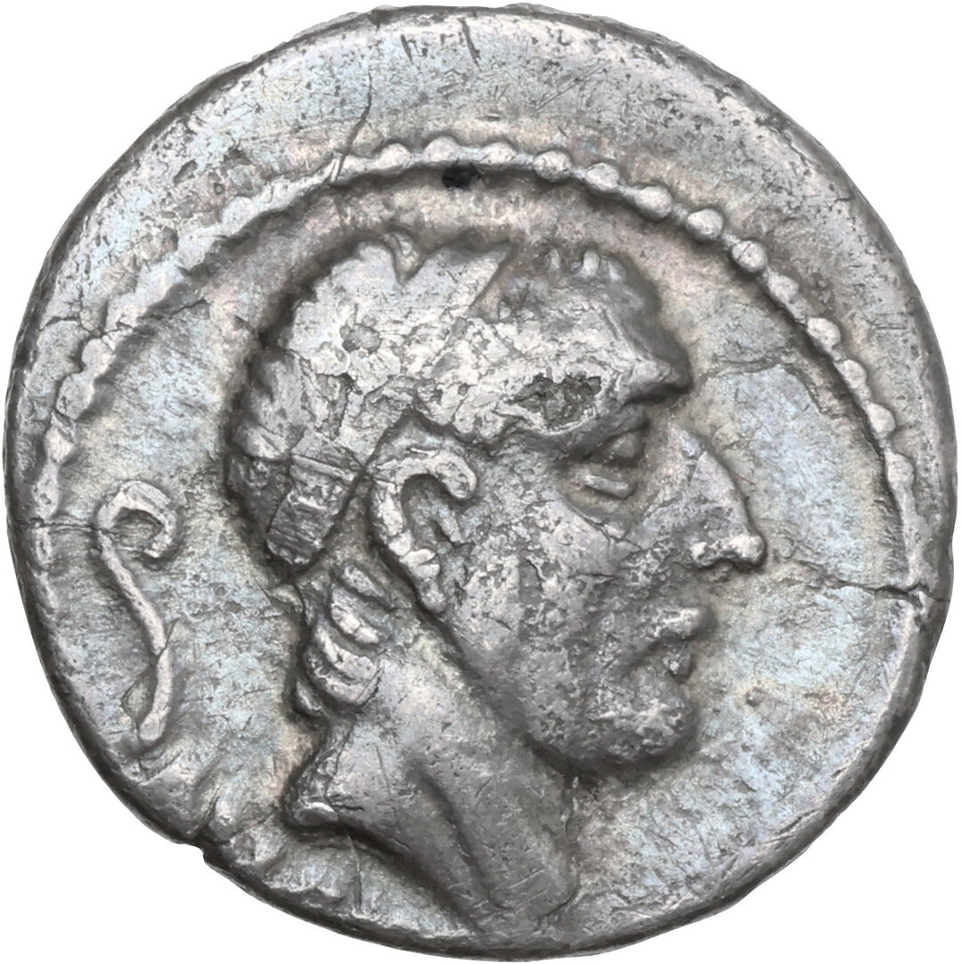 Dritto moneta