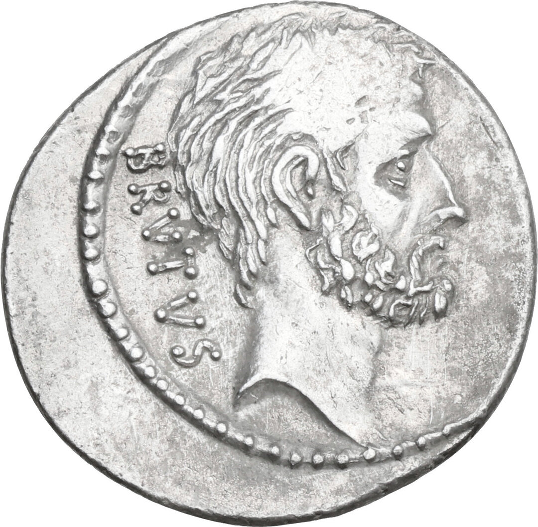 Dritto moneta