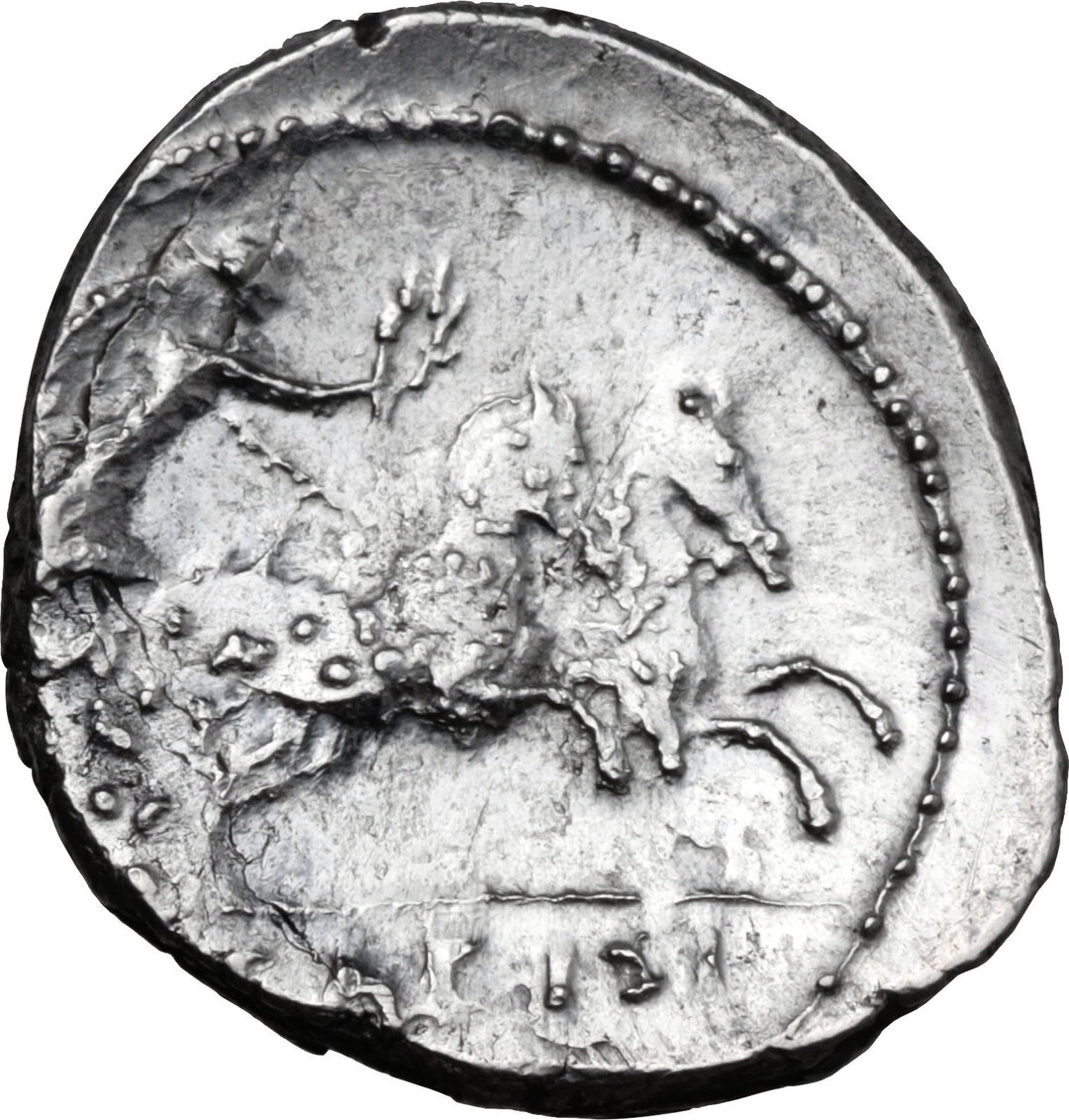 Rovescio moneta
