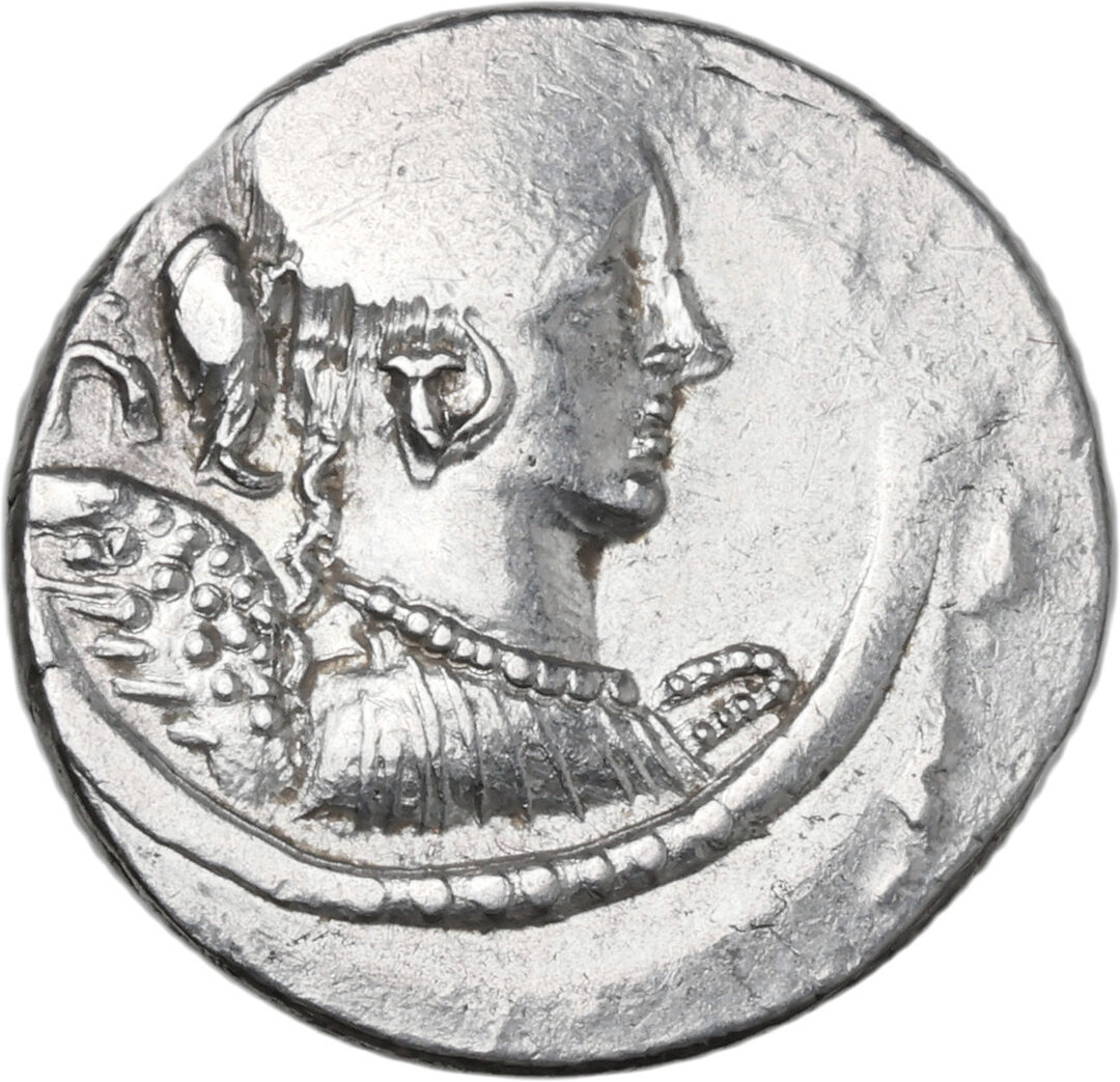 Dritto moneta