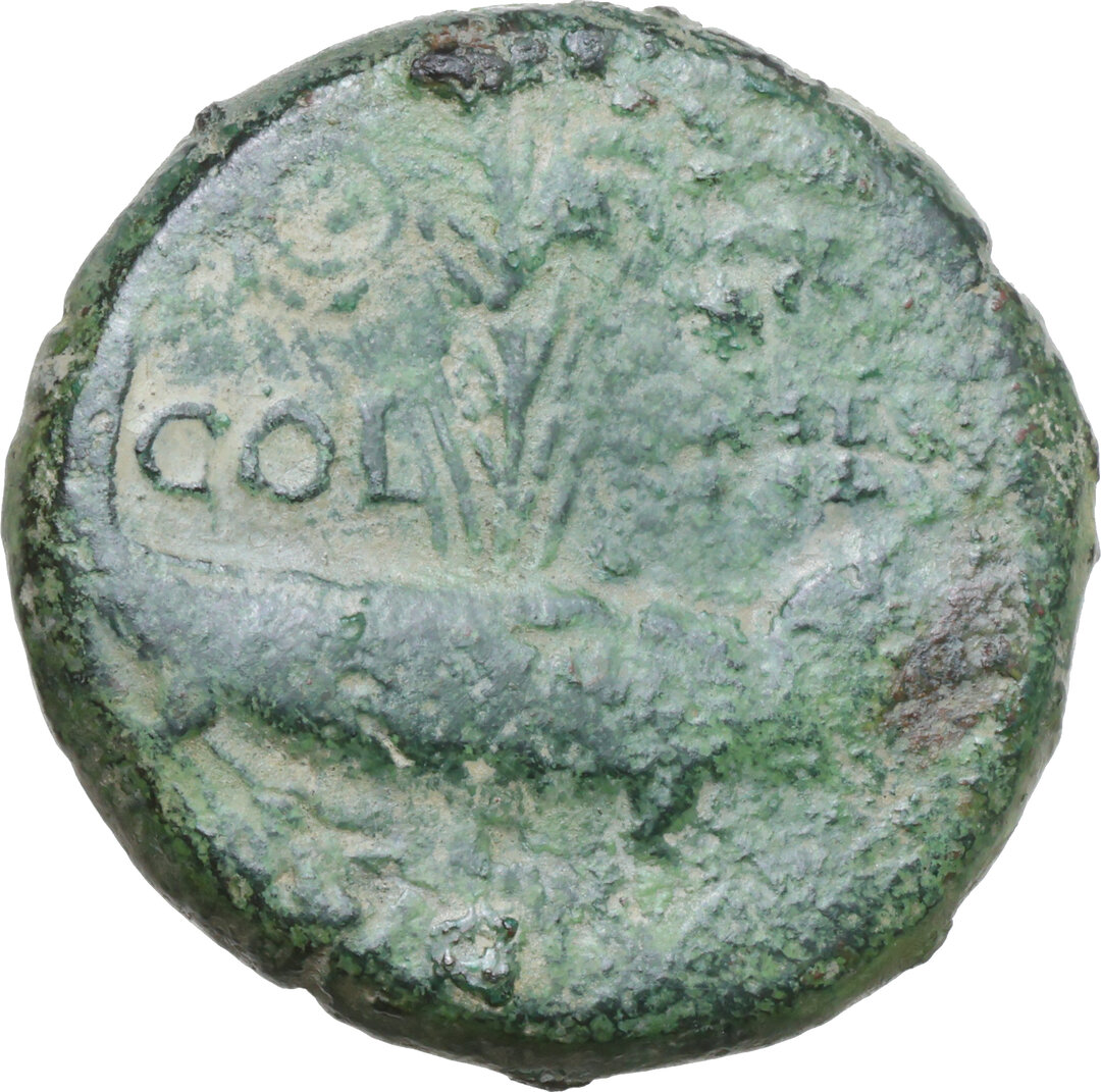 Rovescio moneta