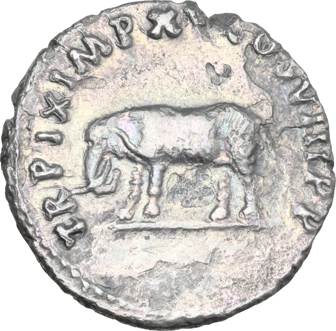 Rovescio moneta