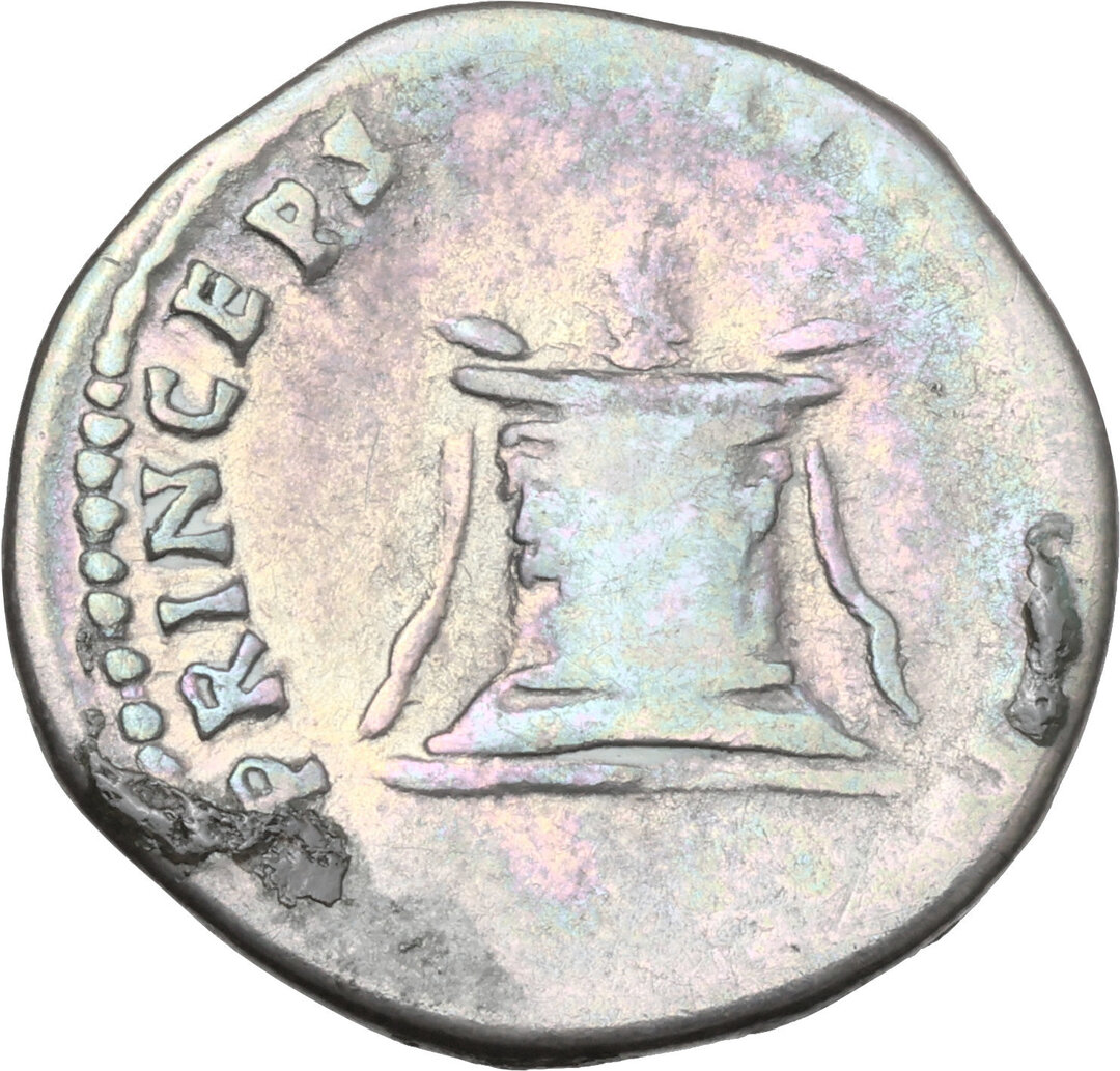 Rovescio moneta