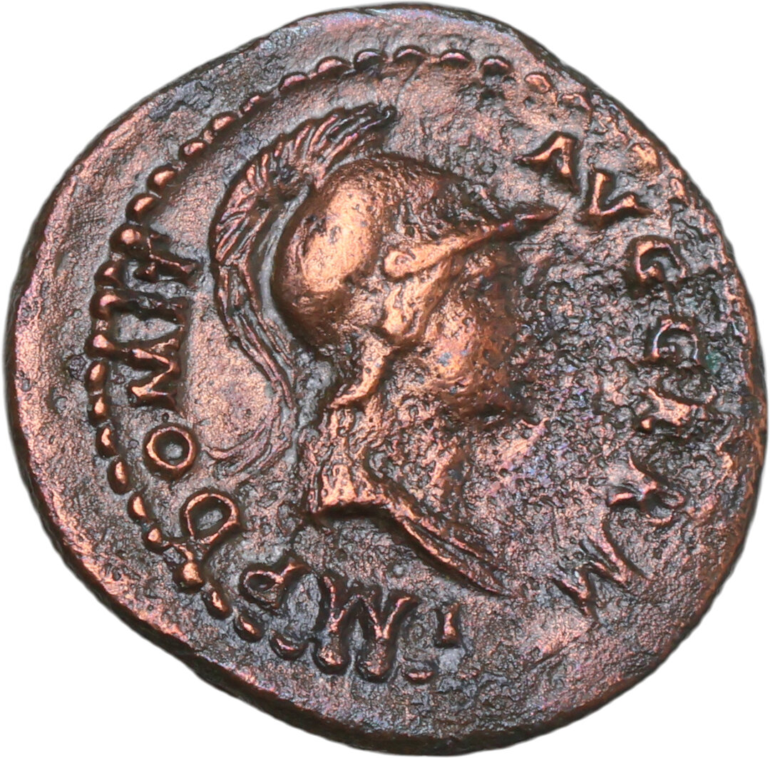 Dritto moneta