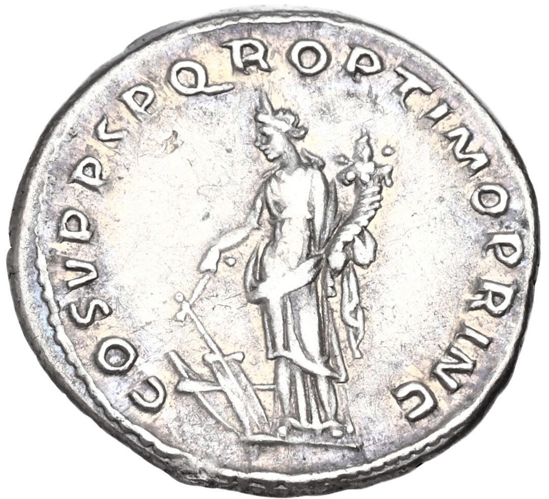 Rovescio moneta