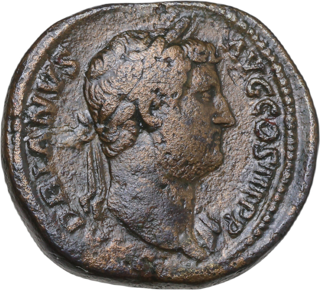 Dritto moneta