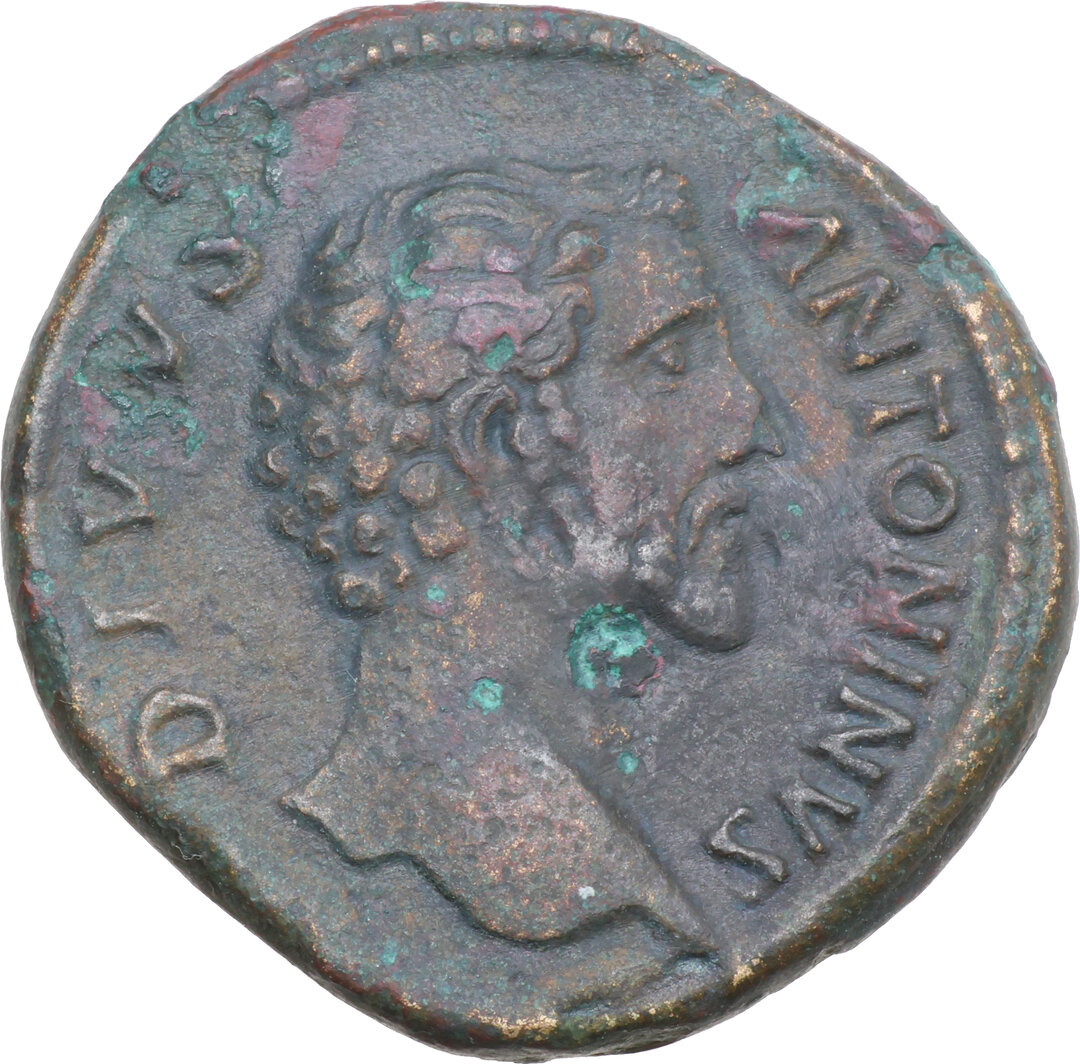 Dritto moneta