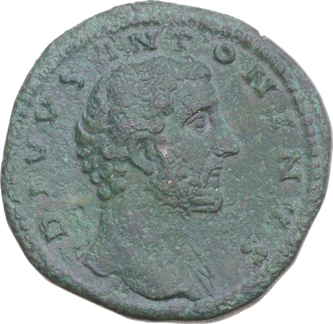 Dritto moneta
