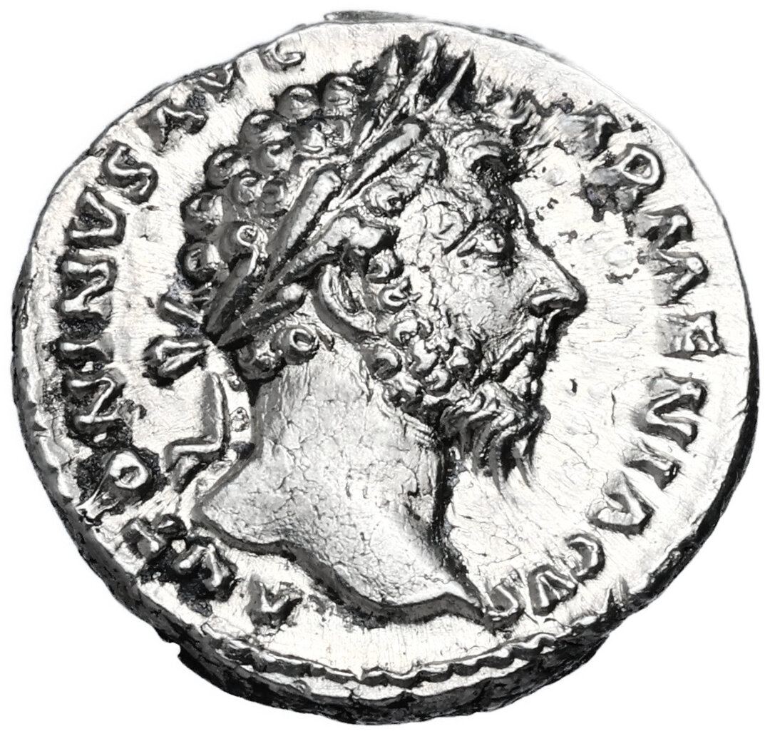 Dritto moneta