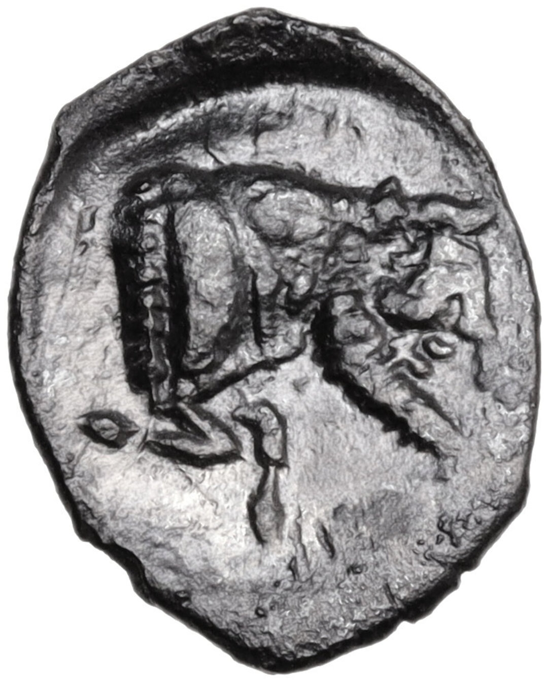 Rovescio moneta