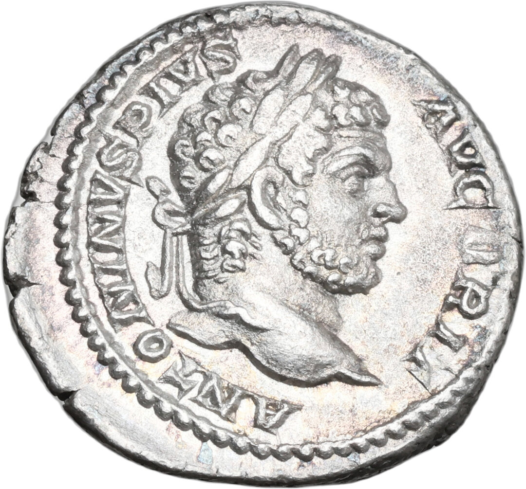 Dritto moneta