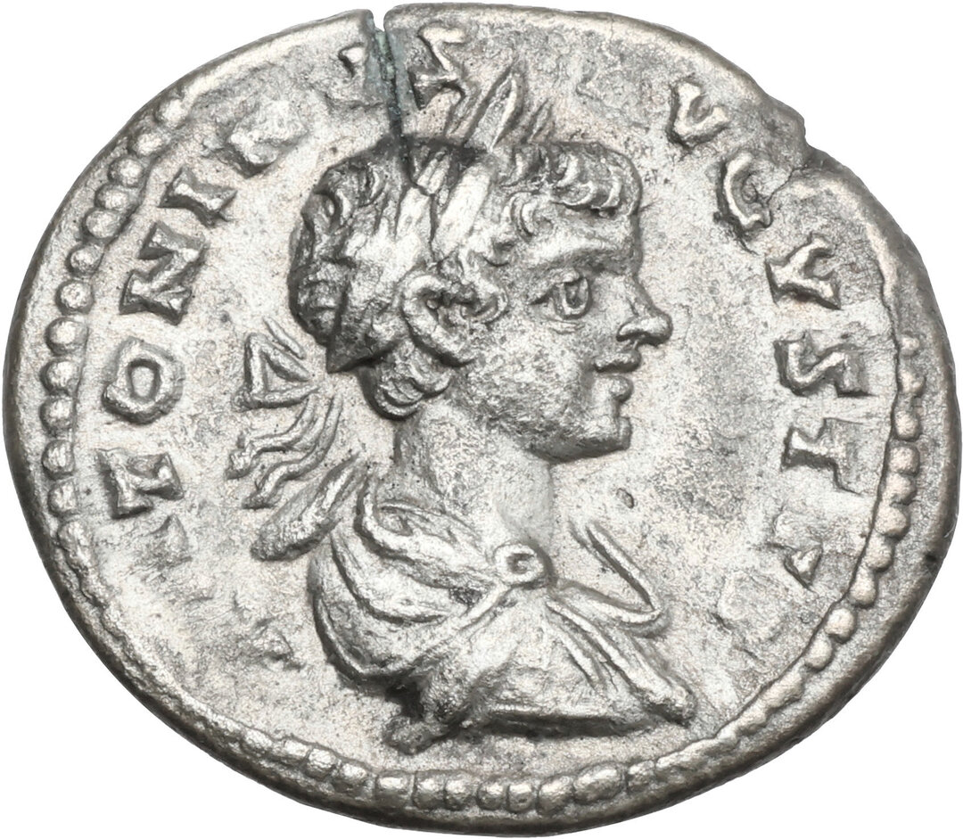Dritto moneta