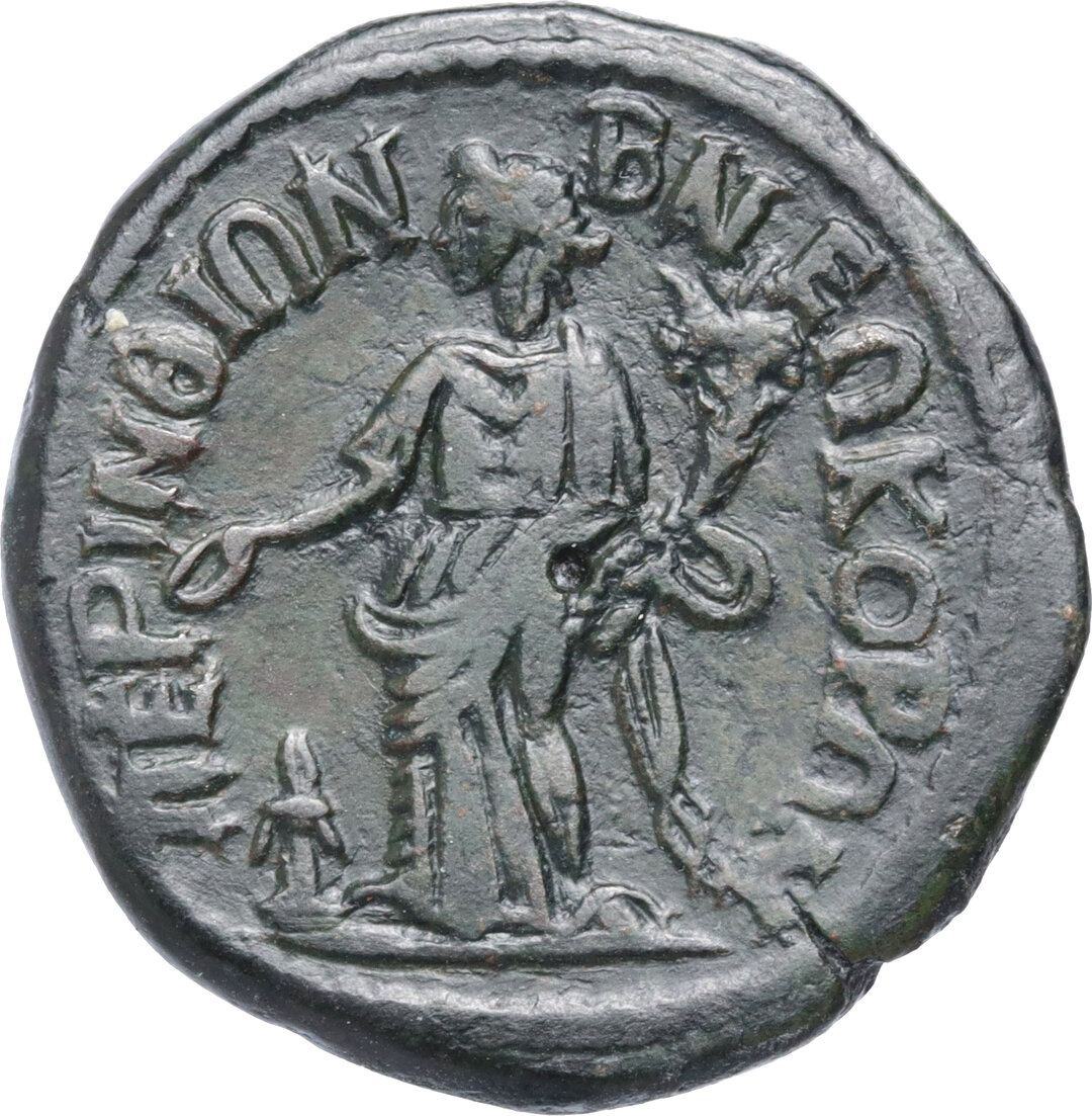 Rovescio moneta