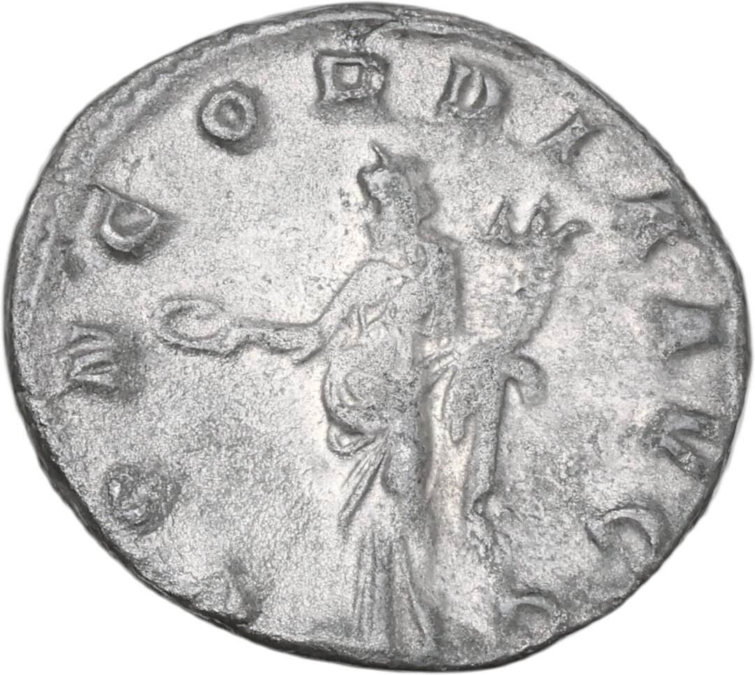 Rovescio moneta