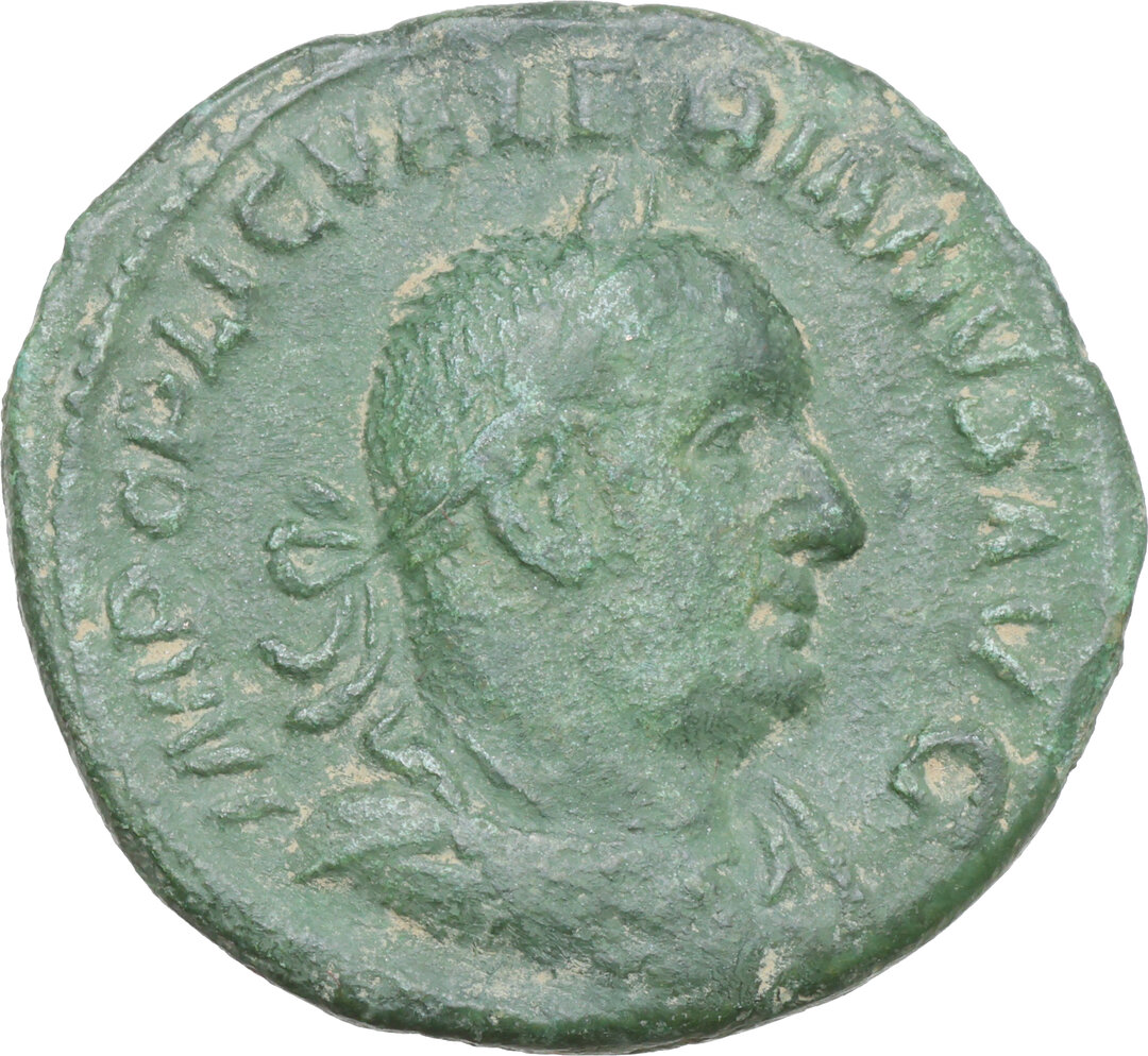 Dritto moneta