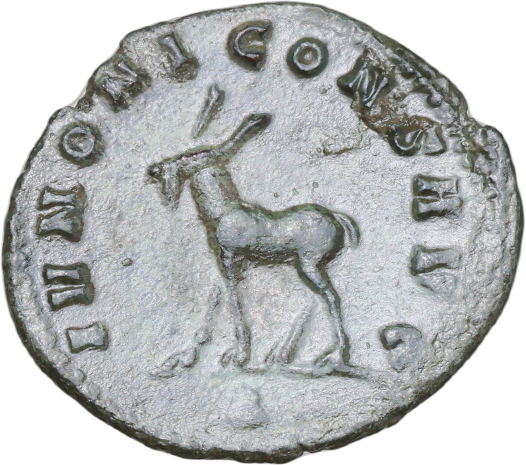 Rovescio moneta