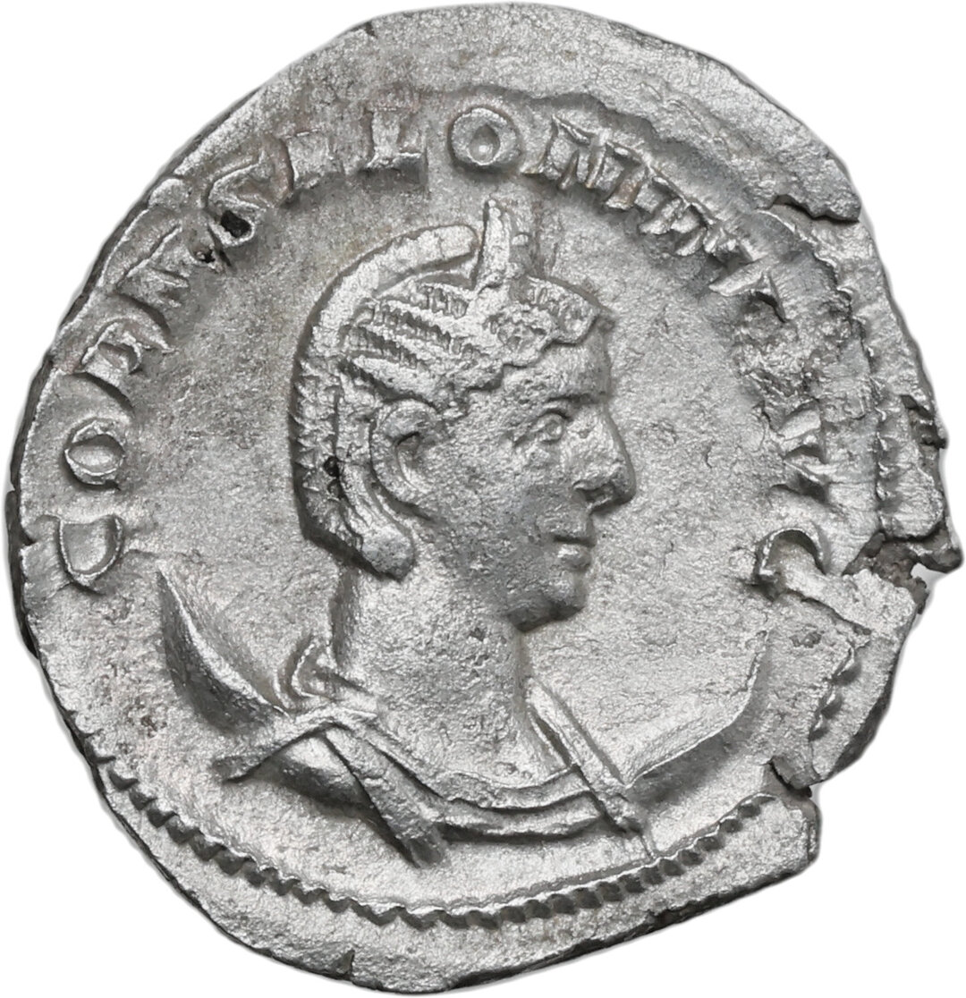 Dritto moneta