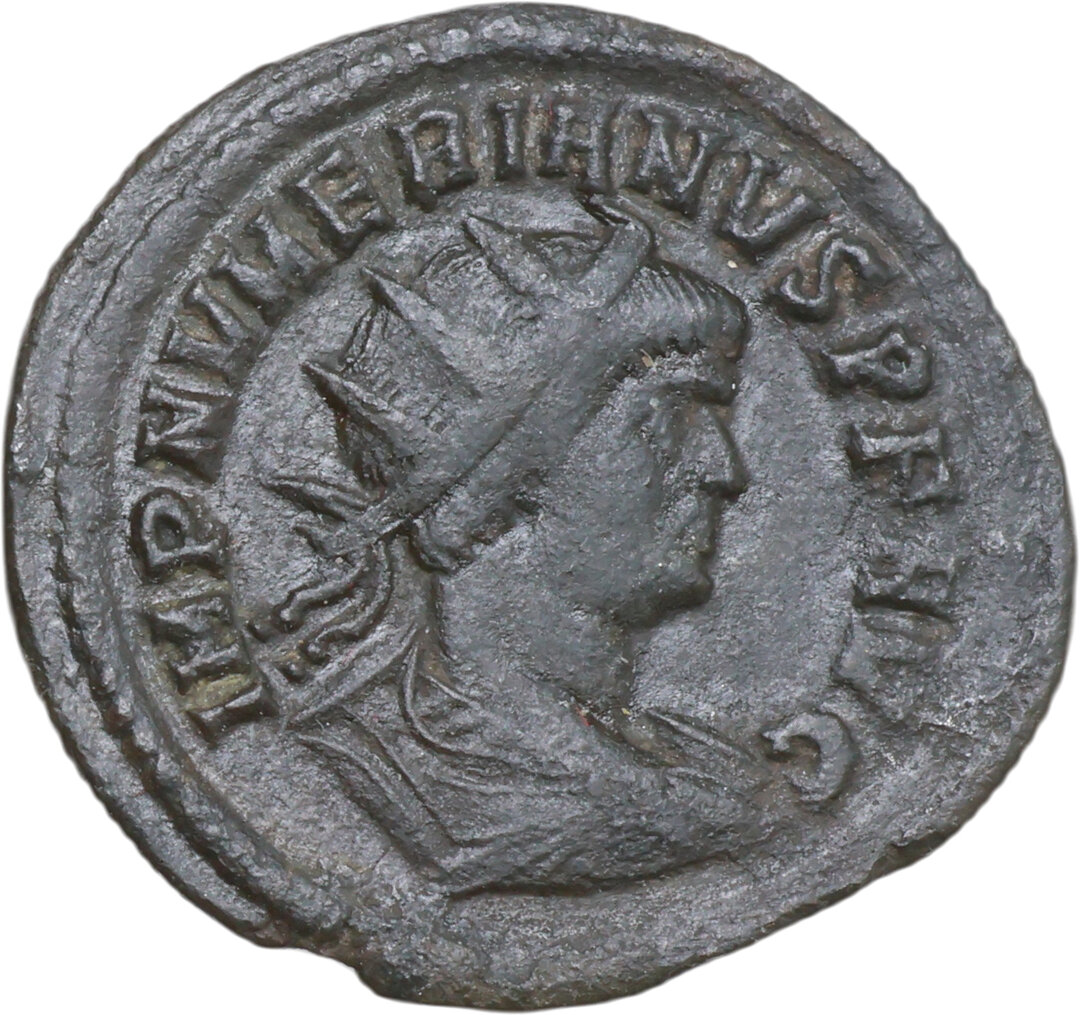 Dritto moneta