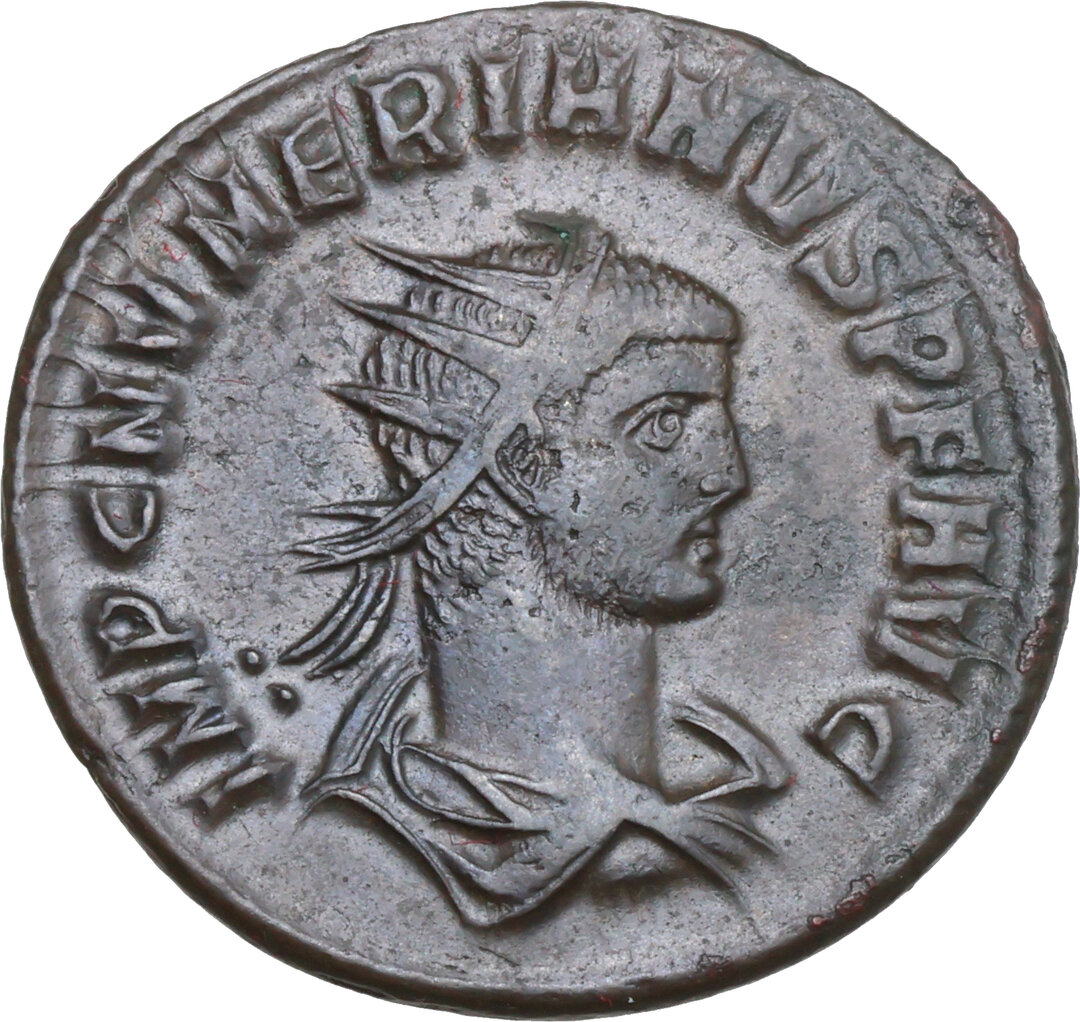Dritto moneta