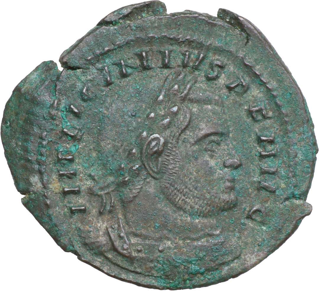 Dritto moneta