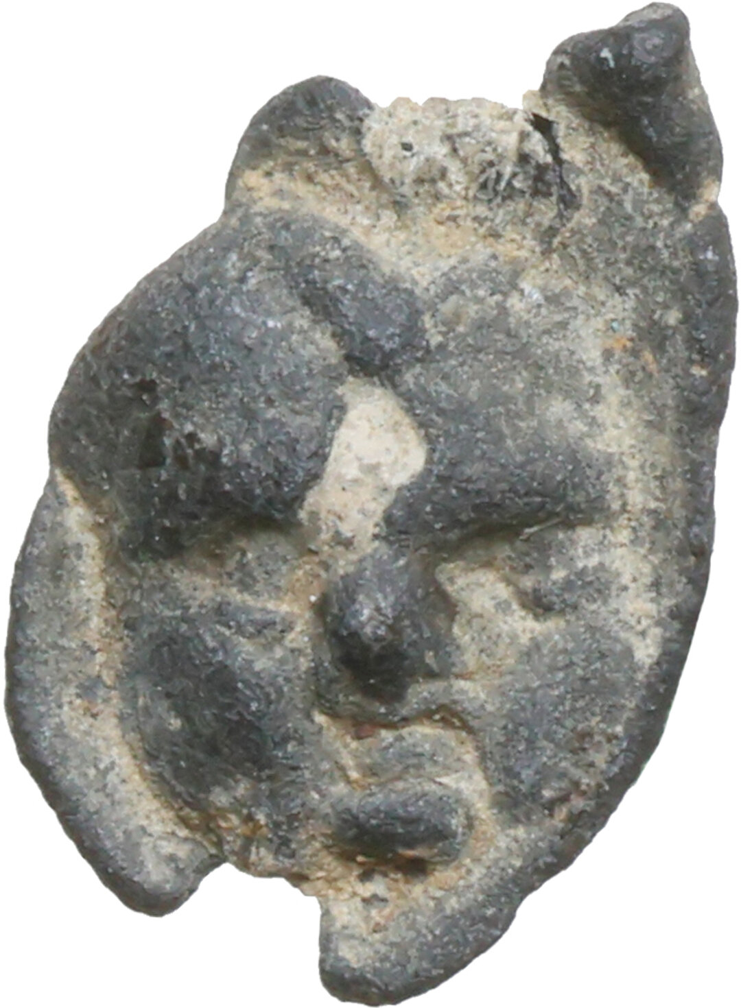Dritto moneta