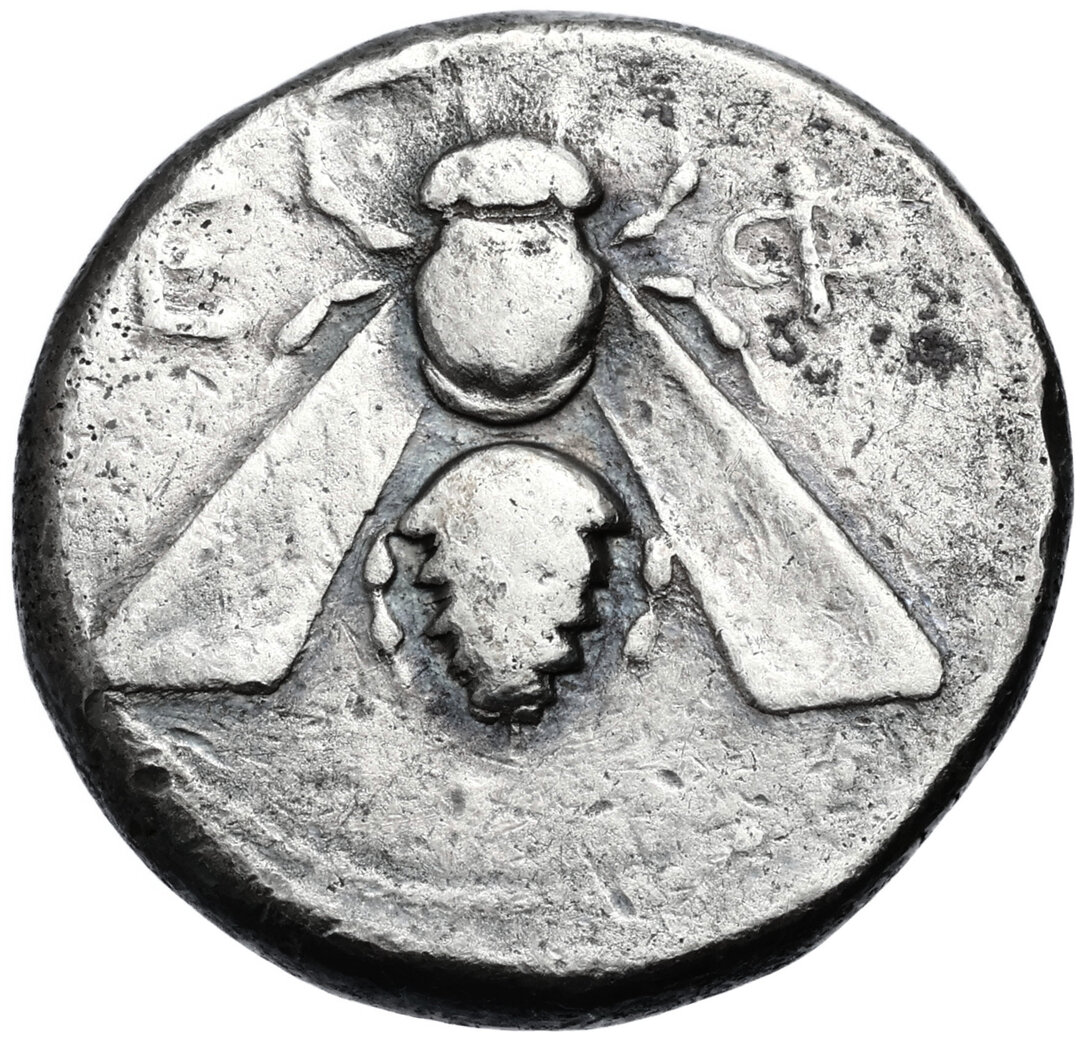Dritto moneta