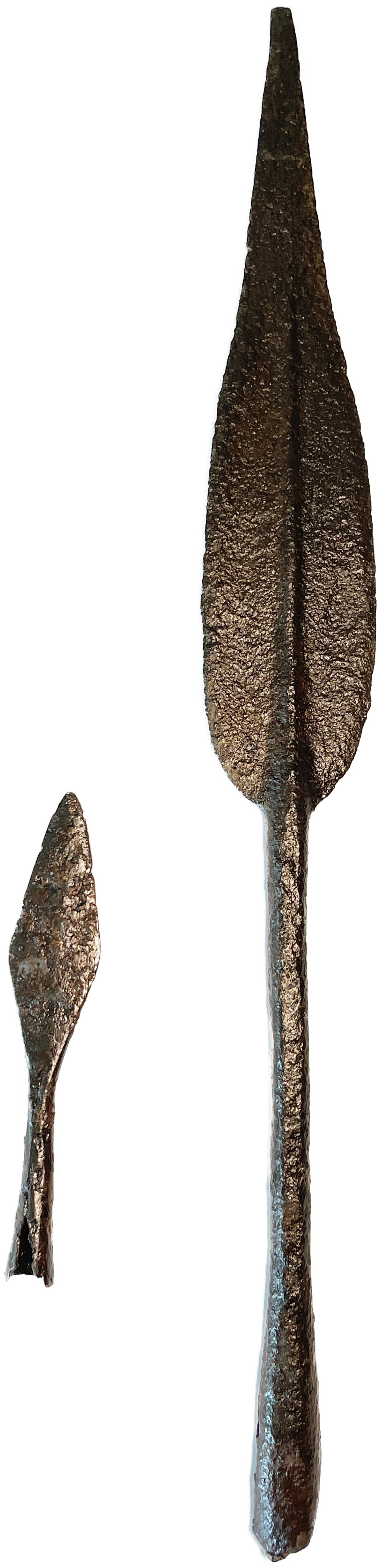Dritto moneta