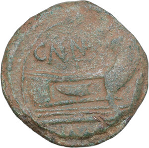 Reverse image