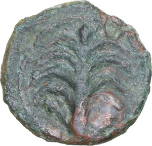 Reverse image