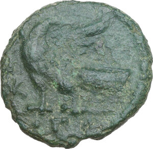 Reverse image