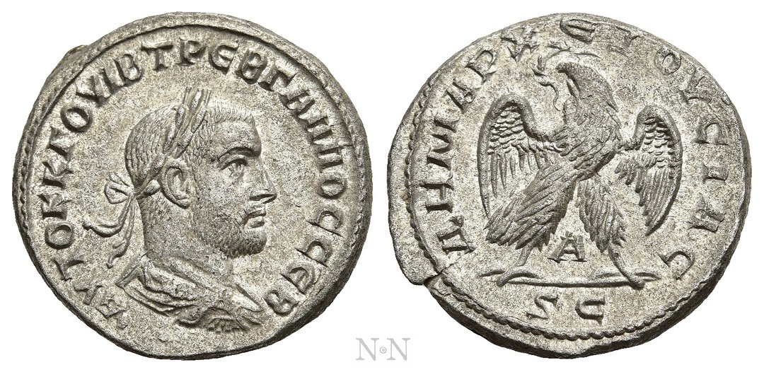 Dritto moneta