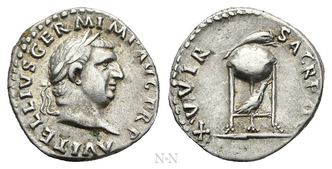 Dritto moneta