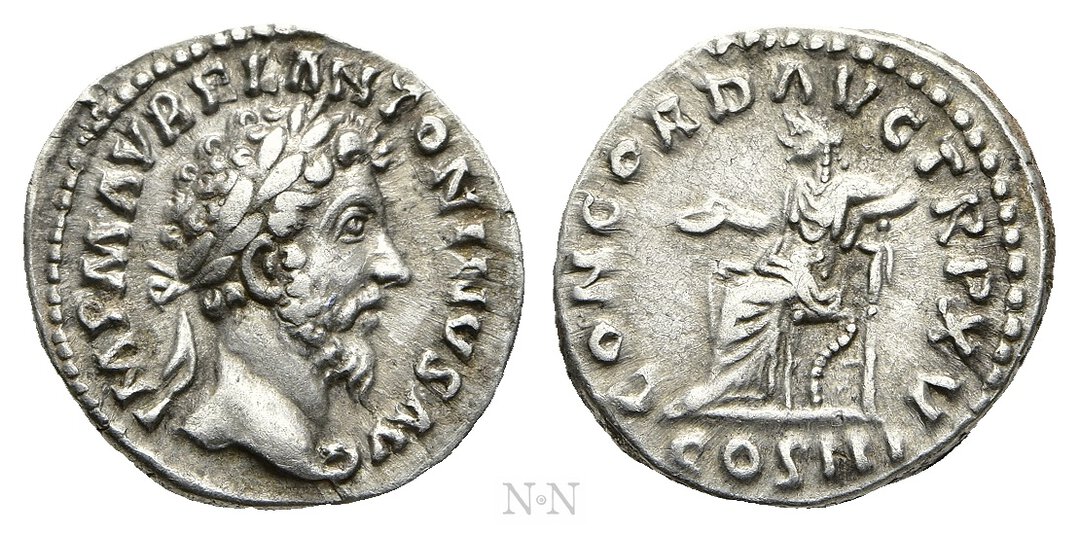 Dritto moneta