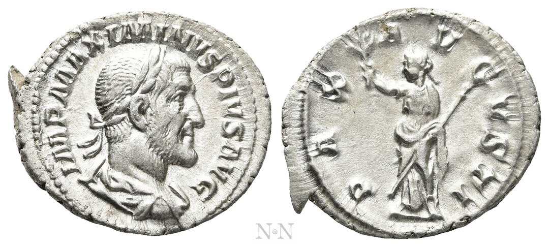Dritto moneta