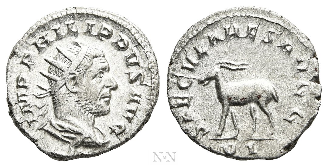 Dritto moneta